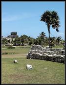 045 Tulum